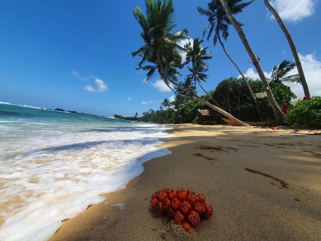 Turtle Beach House Batigama Экстерьер фото