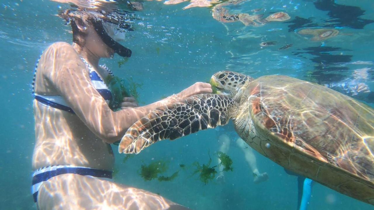 Turtle Beach House Batigama Экстерьер фото
